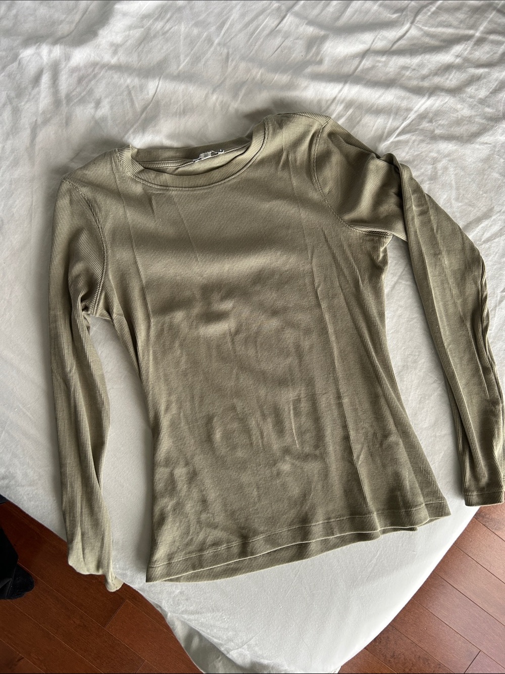 Long Sleeve Mini Ribbed Crewneck Top in Saje Green